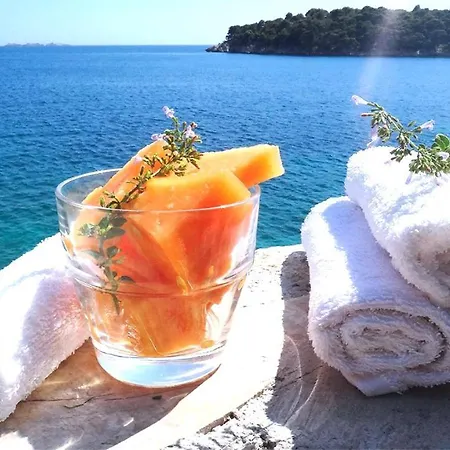 Appartement House On The Cliff Zaton (Dubrovnik-Neretva)
