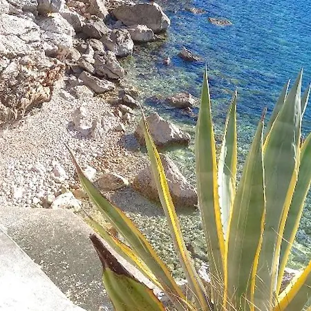 House On The Cliff Zaton (Dubrovnik-Neretva)