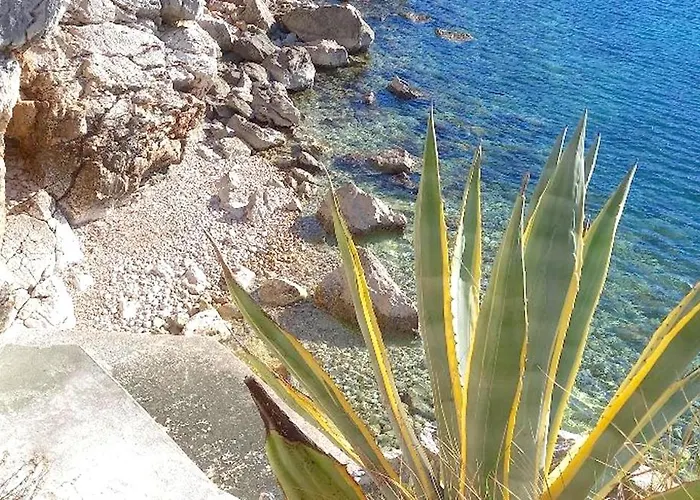 House On The Cliff Zaton (Dubrovnik-Neretva)